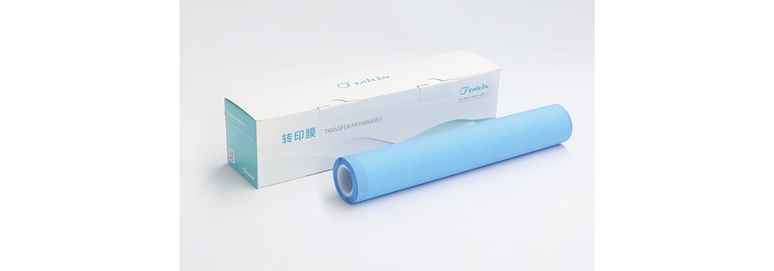 PVDF轉印膜